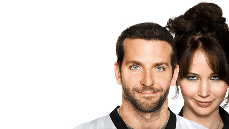 El lado bueno de las cosas - Fondo