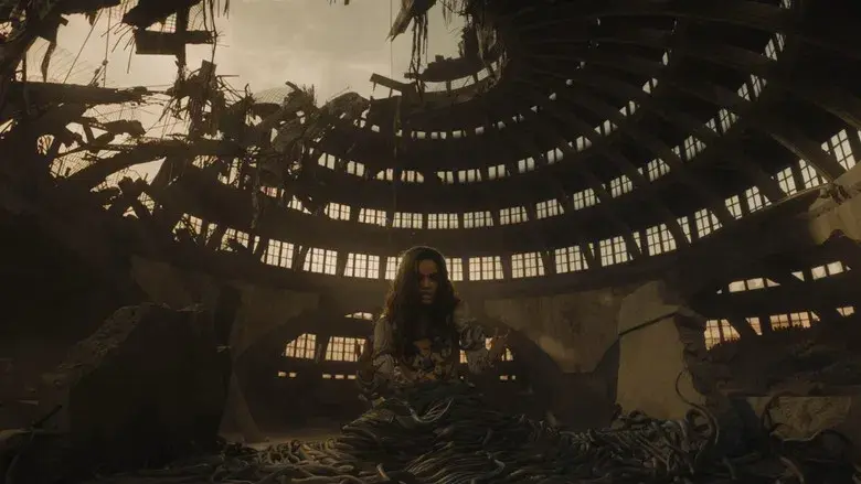 Los Juegos del Hambre: Balada de pájaros cantores y serpientes - Fondo