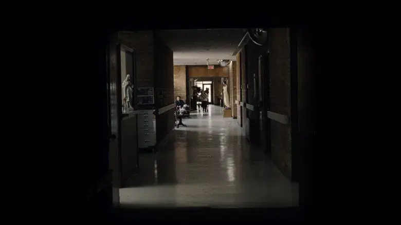 El irlandés - Fondo