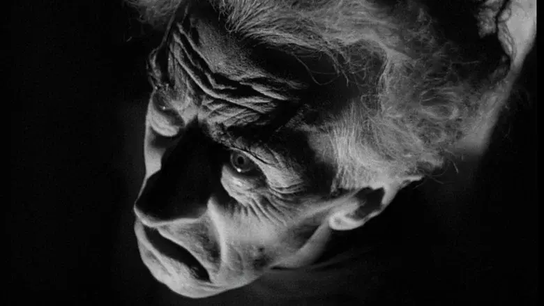 La novia de Frankenstein - Fondo