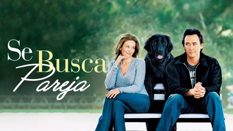 ...Y que le gusten los perros - Fondo