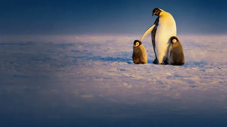 Los secretos de los pingüinos - Fondo