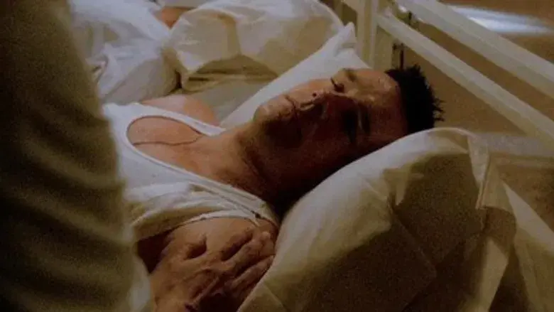 Todos somos ángeles