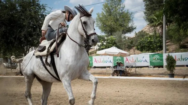 Goya - Un espectáculo de carne y hueso - Fondo