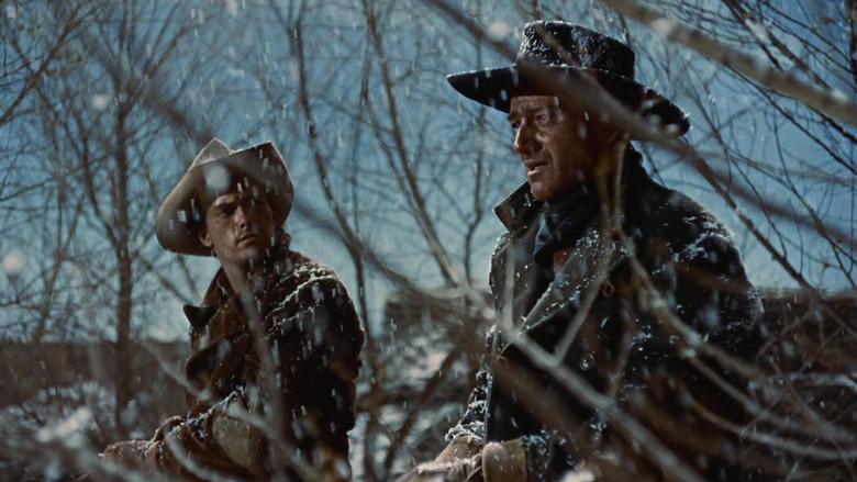 Centauros del desierto - Fondo