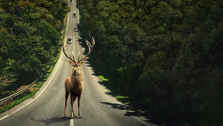 Dejar el mundo atrás - Fondo