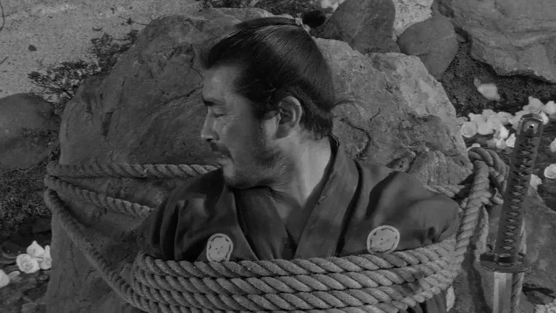 Sanjuro - Fondo