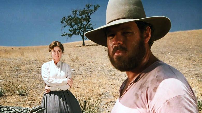 El precio de la razón