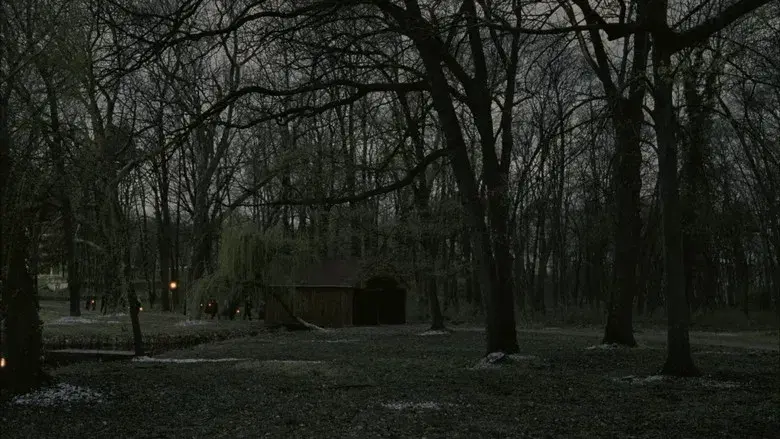 The Brutalist - Fondo