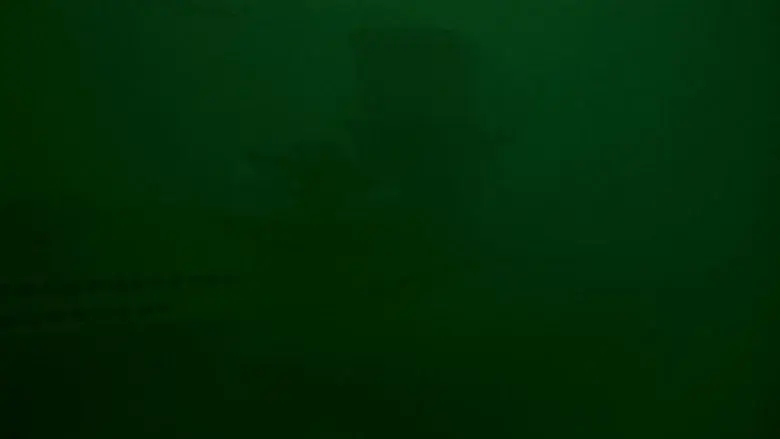 Das Boot: El submarino - Fondo