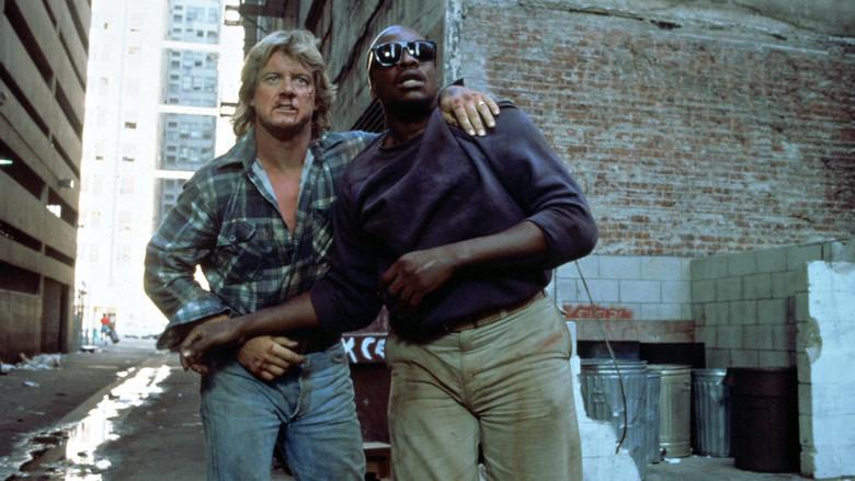 Están vivos - Fondo