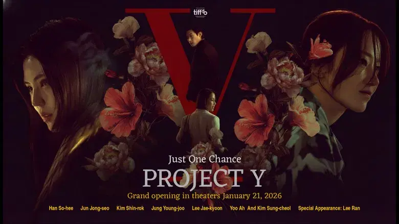 Project Y - Fondo