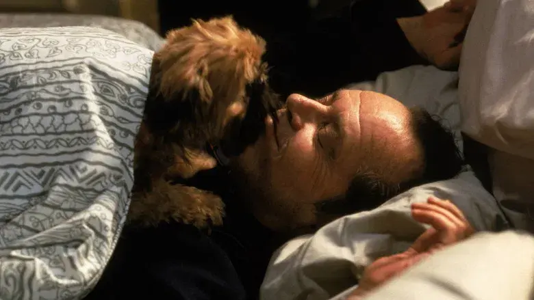 Mejor... imposible - Fondo