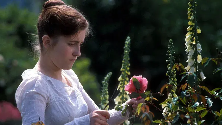Mansfield Park - Fondo