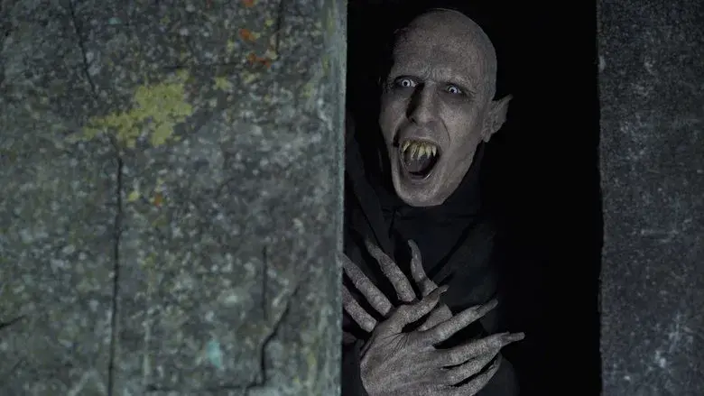 Lo que hacemos en las sombras - Fondo