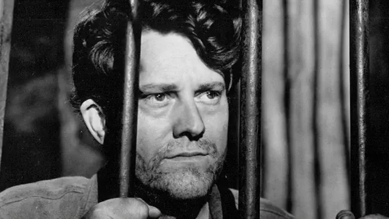 Aventuras de Jack London - Fondo