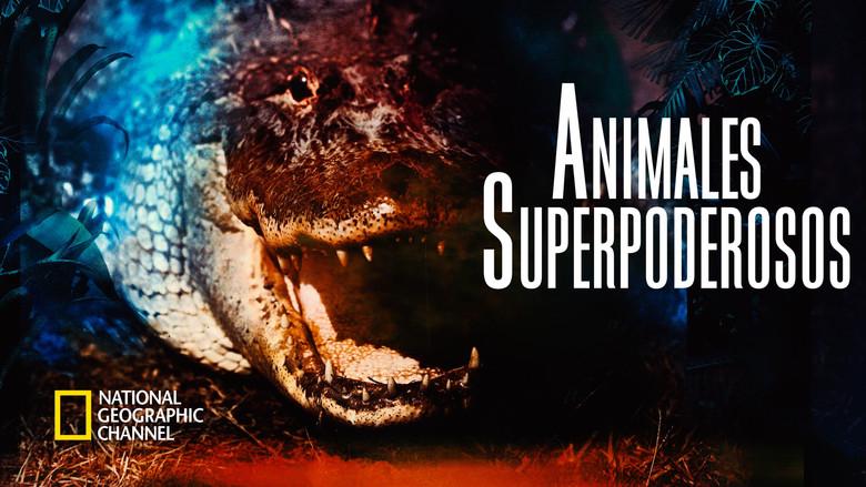 Animal Superpowers - Fondo