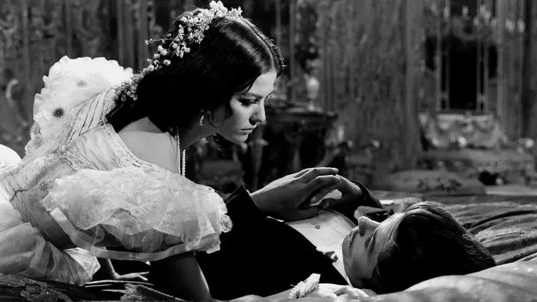 El gatopardo - Fondo