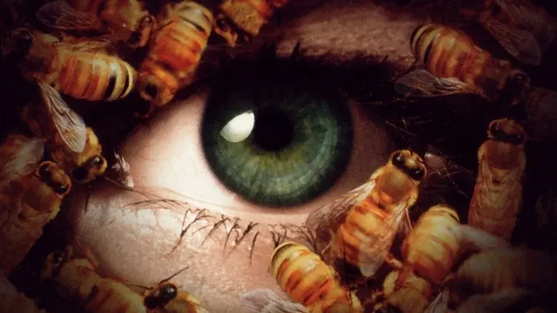 Candyman 3: El día de los muertos - Fondo
