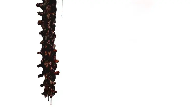 28 años después - Fondo