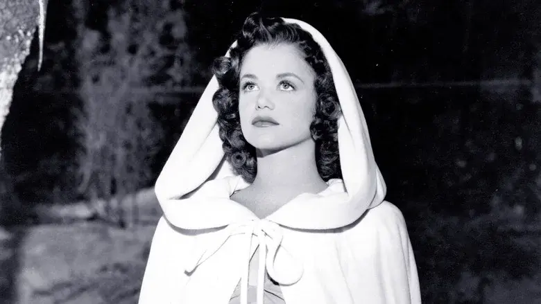 La venganza de la mujer pantera - Fondo