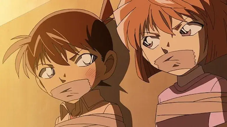 Situación de urgencia 252 (2)