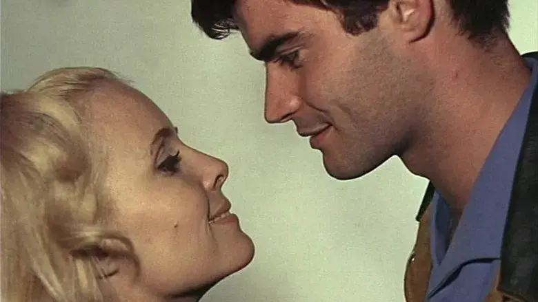 La felicidad - Fondo