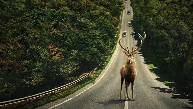 Dejar el mundo atrás - Fondo