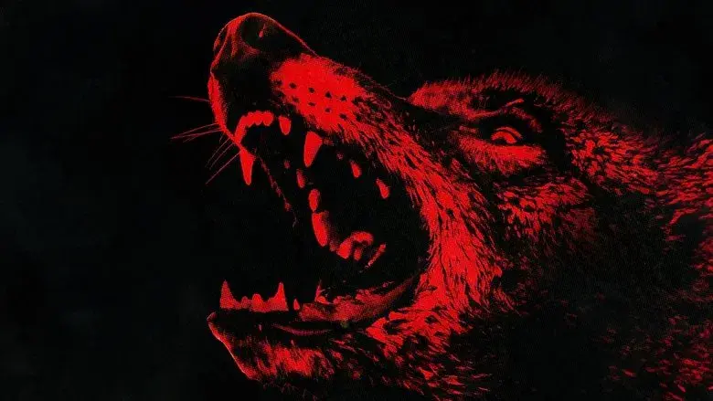 Coyotes - Fondo