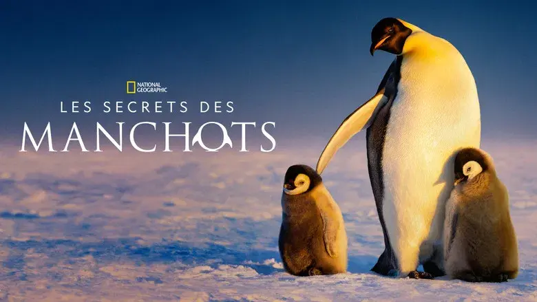 Los secretos de los pingüinos - Fondo