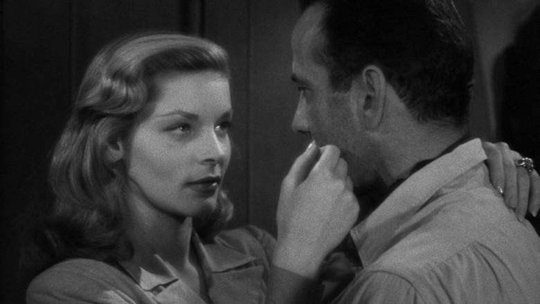 Tener y no tener - Fondo