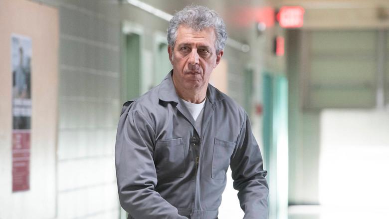 La hora de la rana dorada