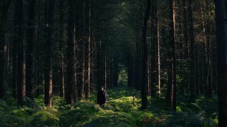 Puñales por la espalda: De entre los muertos - Fondo