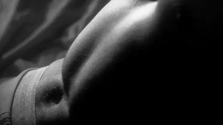 Who Killed Teddy Bear? - Fondo