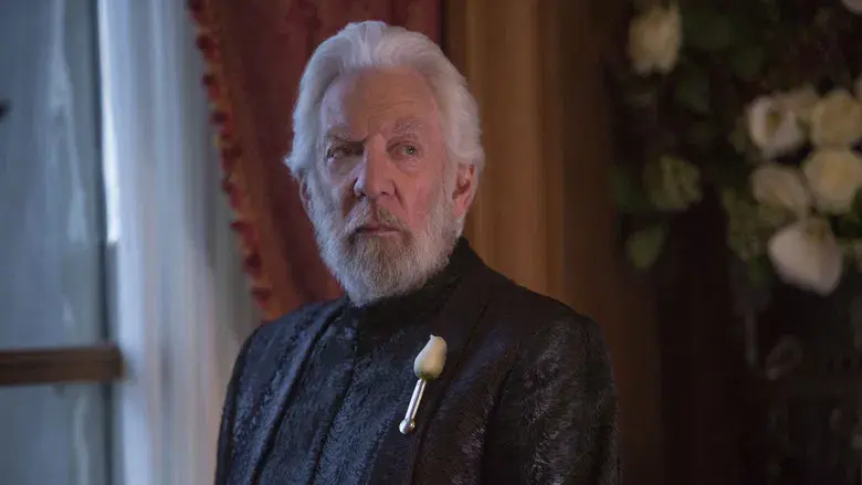 Los Juegos del Hambre: Sinsajo - Parte 2 - Fondo