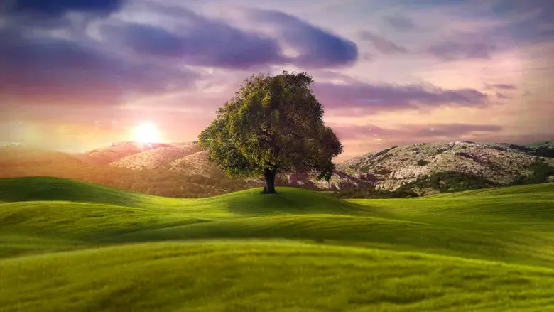 Who Do You Think You Are? - Fondo