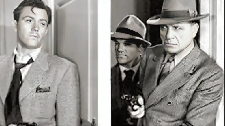 Too Many Winners - Fondo