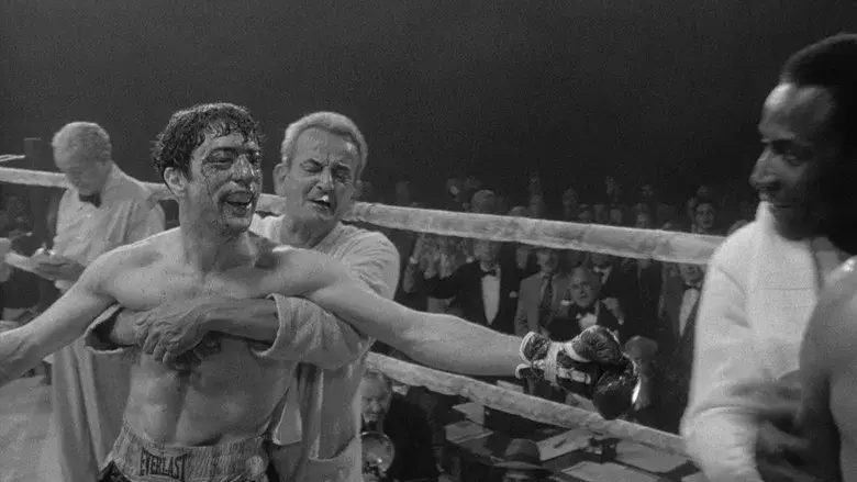 Toro salvaje - Fondo