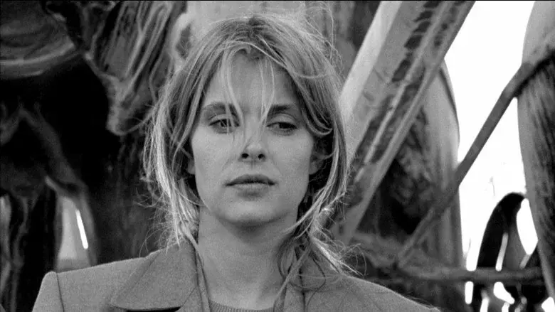 ¡Tan lejos, tan cerca! - Fondo