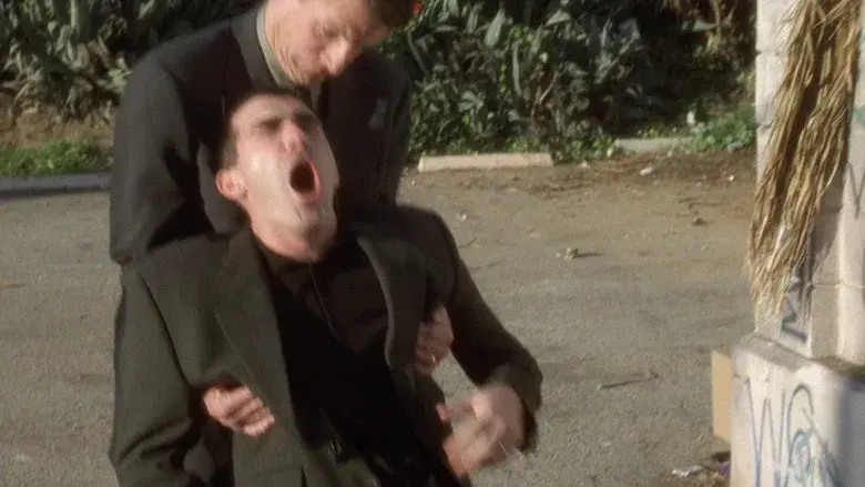 Mulholland Drive - Fondo