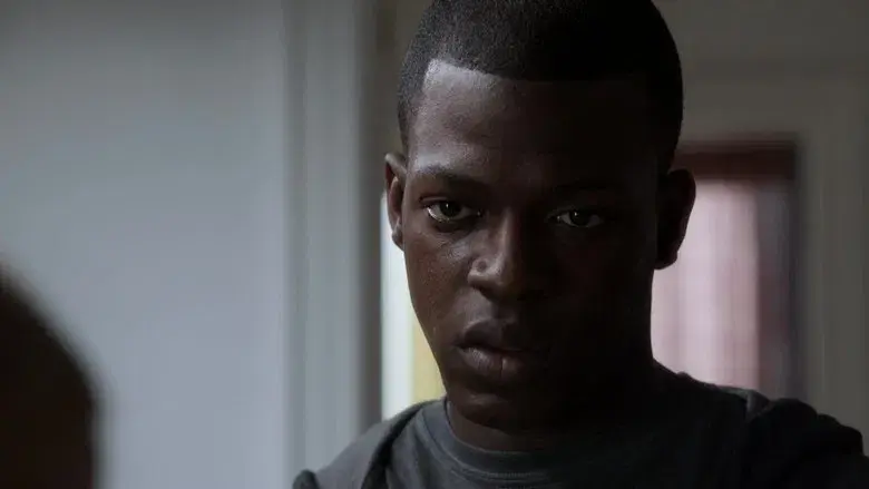 Creyentes verdaderos