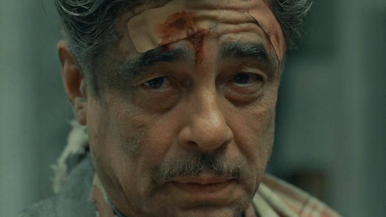 La trama fenicia - Fondo