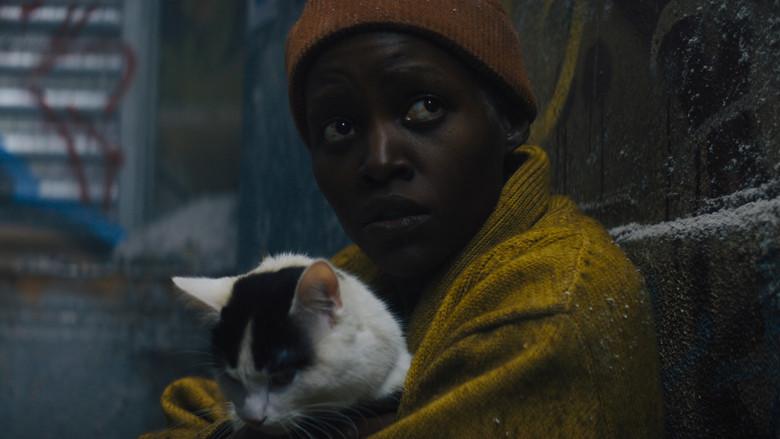 Un lugar tranquilo: Día uno - Fondo