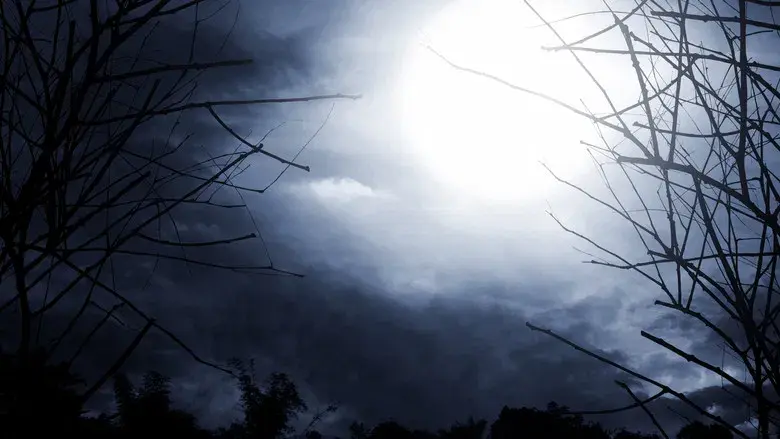 Masterpiece Mystery - Fondo