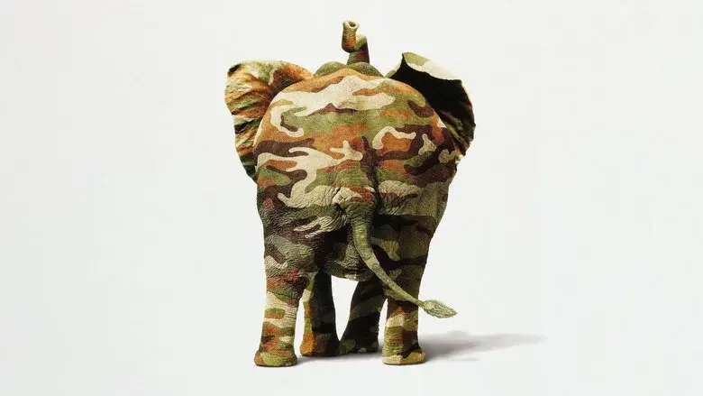 Operación Elefante - Fondo
