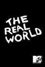 The Real World