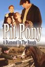 Pit Pony