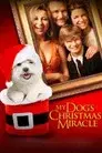 El milagro de Navidad de mi perro