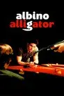 Albino Alligator