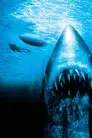 Tiburón 4: La venganza